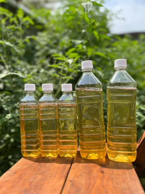 شربت بهار نارنج