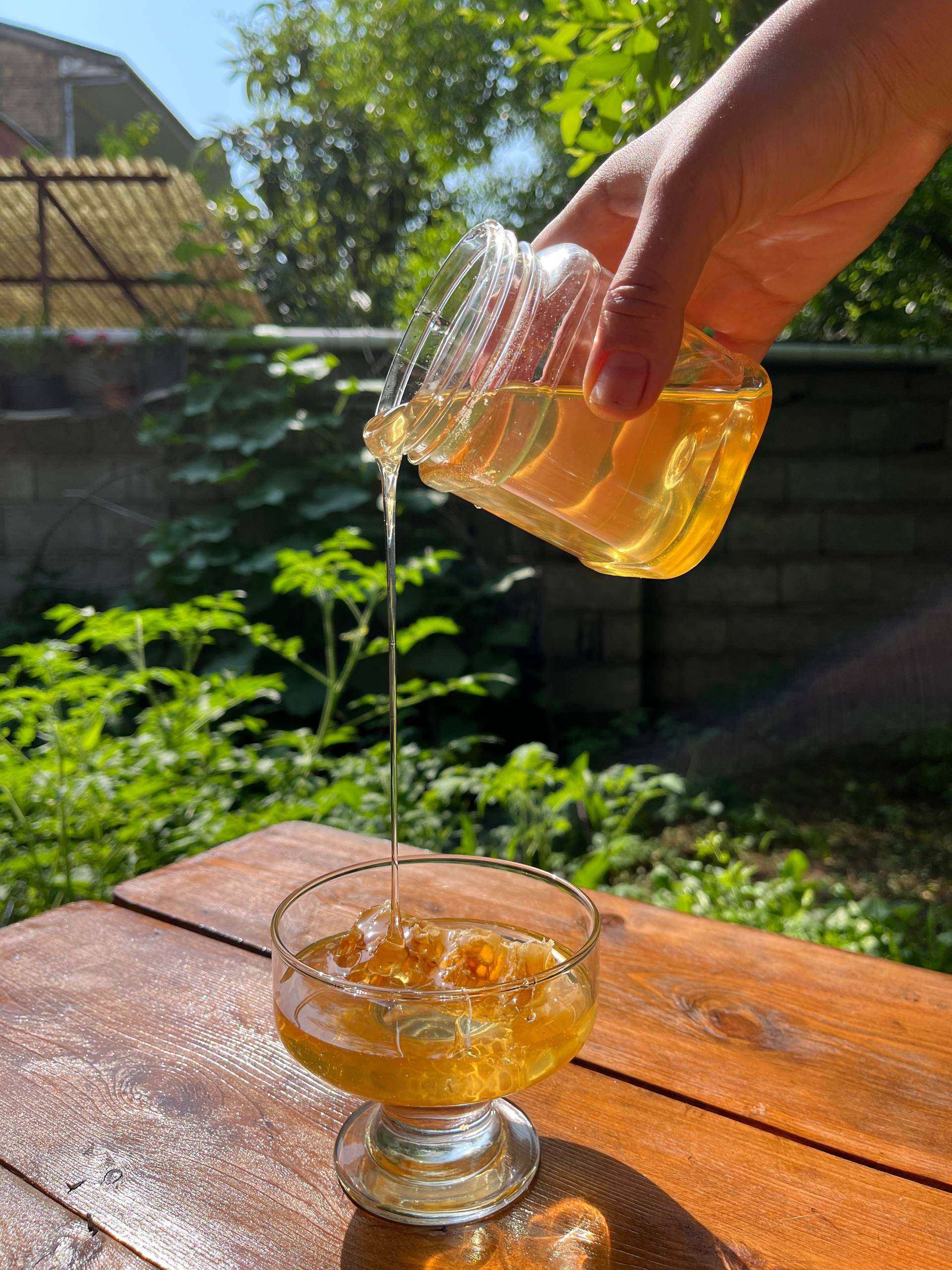 نکات مهم قبل از خرید عسل؛ چطوری عسل اصل رو تشخیص بدیم؟