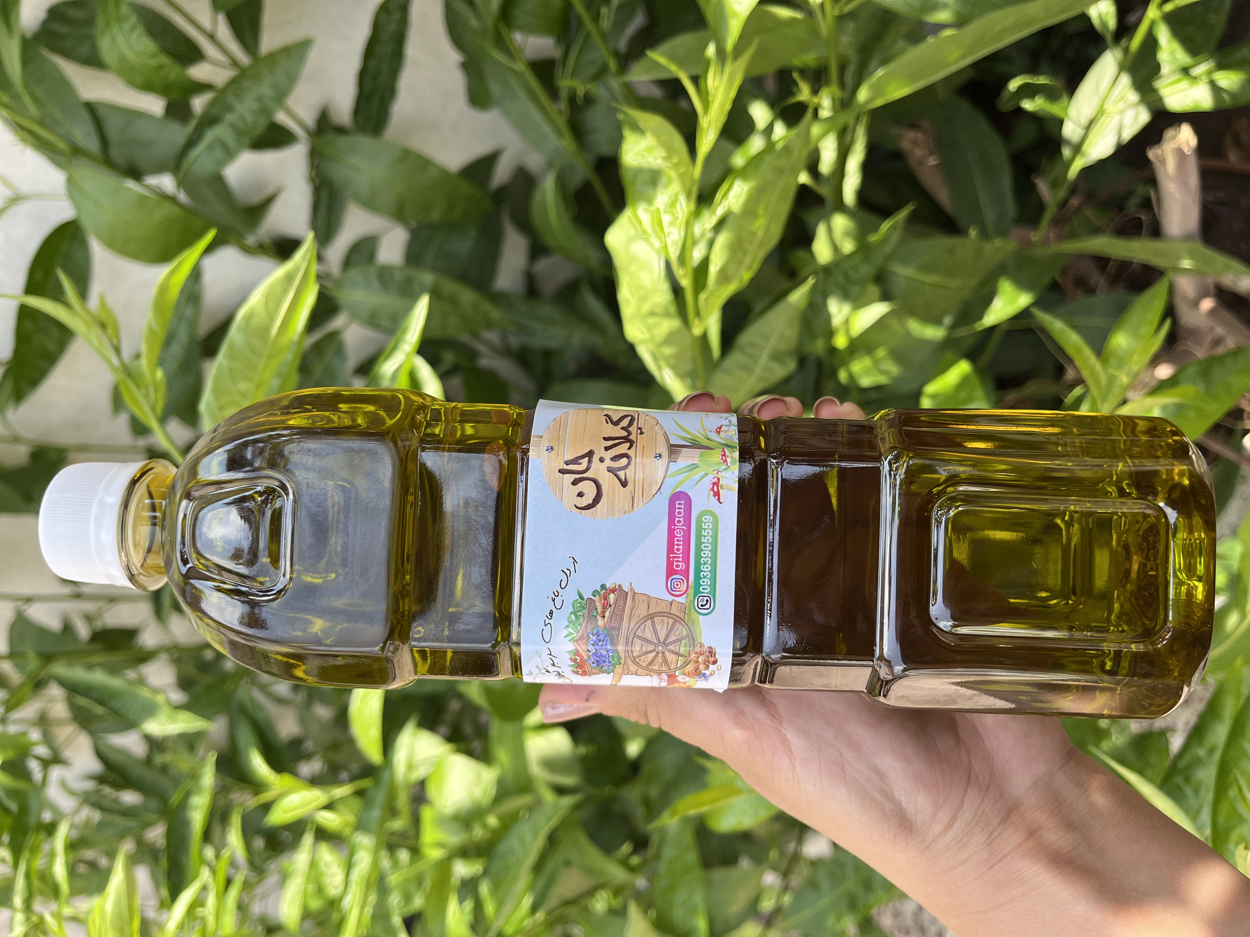 روغن زیتون فرابکر پرس سرد